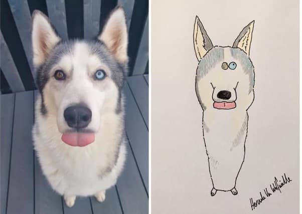 https://www.justgiving.com/fundraising/portraitsbyhercule