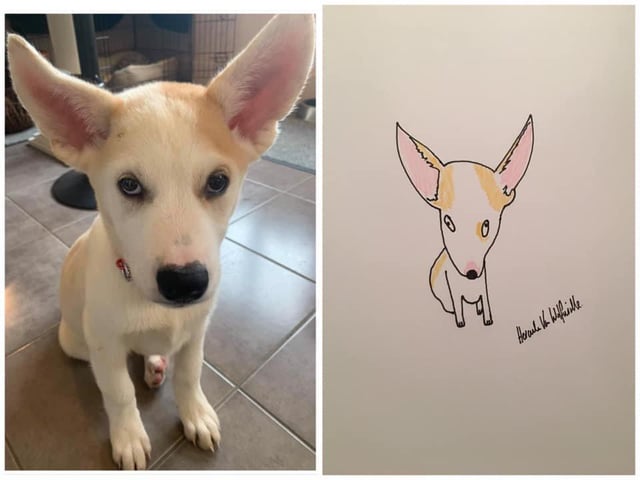 https://www.justgiving.com/fundraising/portraitsbyhercule