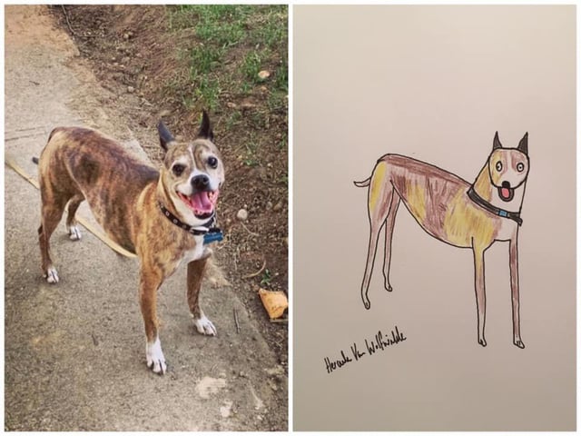 https://www.justgiving.com/fundraising/portraitsbyhercule