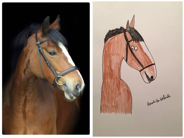 https://www.justgiving.com/fundraising/portraitsbyhercule