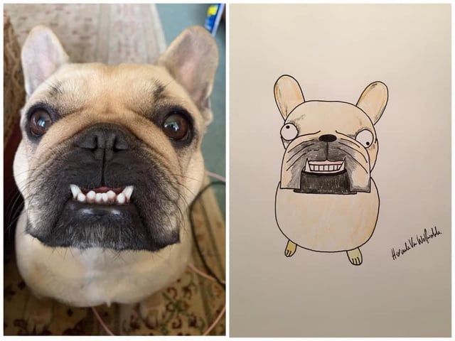 https://www.justgiving.com/fundraising/portraitsbyhercule