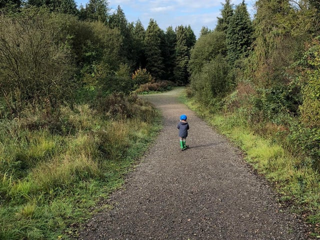 Just up the A43 in East Northants is beautiful Fineshade Wood. There are walking and cycling trails, bike hire two play areas and a cafe. Entry is free although there is a charge for parking.