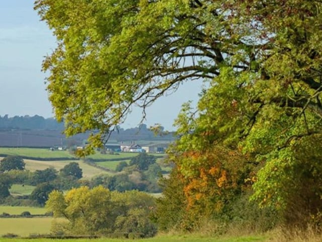 Just a few miles from Corby, free entry Fermyn Woods has woodland strolls, a huge play area and a lovely cafe. Theres a charge for parking.