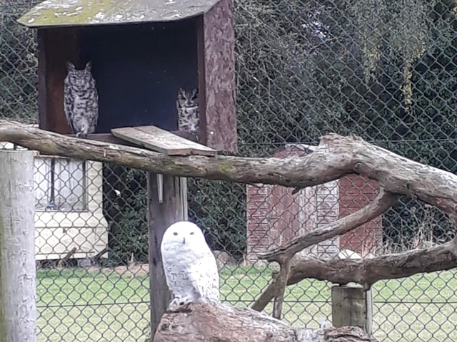 The Exotic Pet Refuge at Deeping St James has an Open Day coming up.