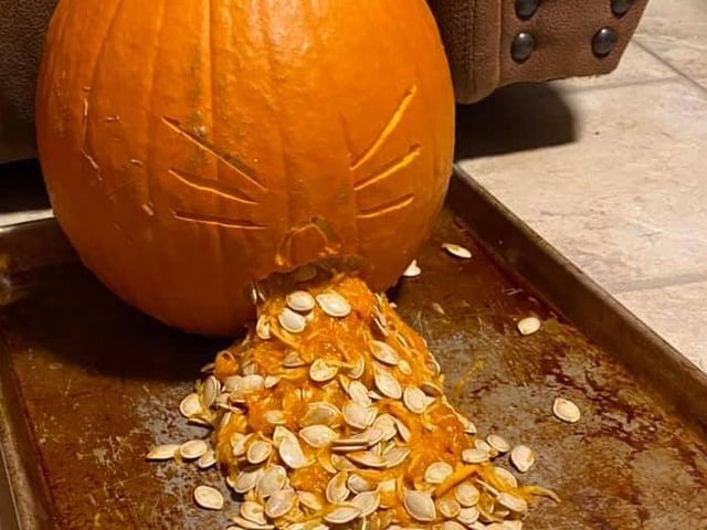 This poorly pumpkin was carved by Gillian Alder Stewart, from Hastings