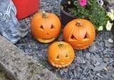 Kerrie Collins from Eastbourne shared this spooky trio
