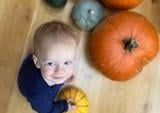Ally Exton from Chichester says Elliott loves his pumpkins too much to carve them