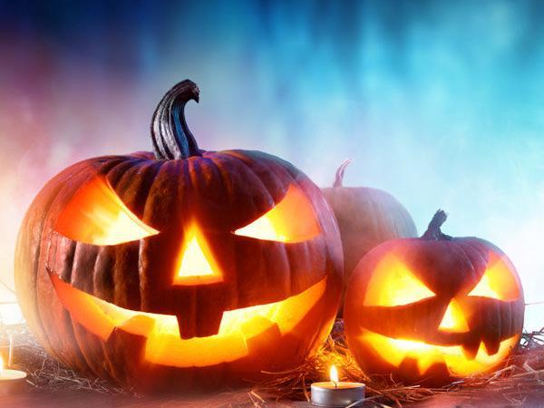 Castle Ashby will be placing pumpkins all around their gardens for children to seek up to November 1. Tickets can be purchased on their website.