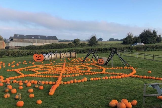 Smith’s Farm Shop is opening up their fields for pumpkin picking where you can take pictures in front of their spook-tacular spider display or even join their pumpkin carving competition.