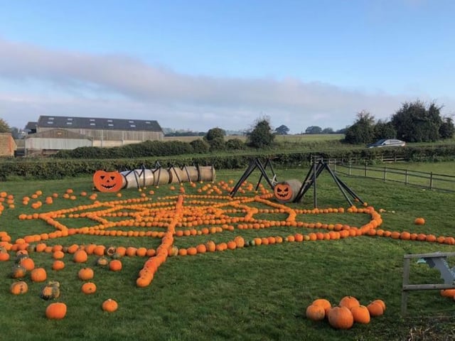 Smith’s Farm Shop is opening up their fields for pumpkin picking where you can take pictures in front of their spook-tacular spider display or even join their pumpkin carving competition.