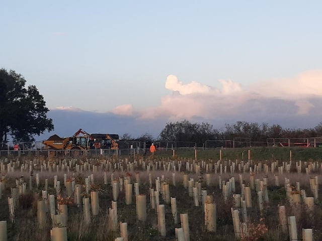 These photos from Penny McGregor show just how much damage has been done to parts of South Cubbington Wood.