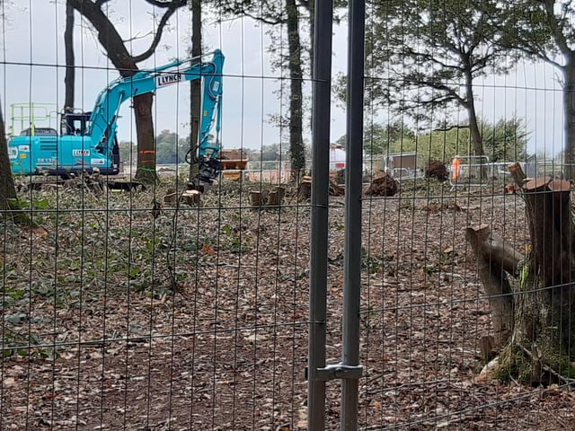 These photos from Penny McGregor show just how much damage has been done to parts of South Cubbington Wood.