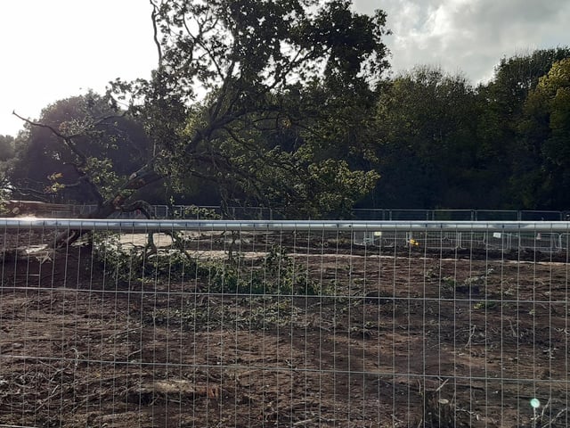 These photos from Penny McGregor show just how much damage has been done to parts of South Cubbington Wood.