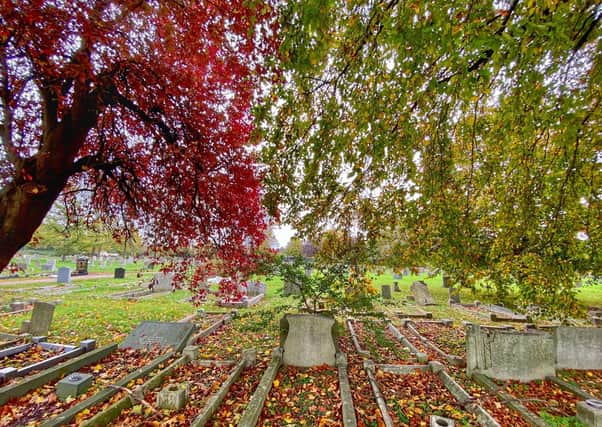 Autumn colours in Eastfield Cemetery from Toby Wood