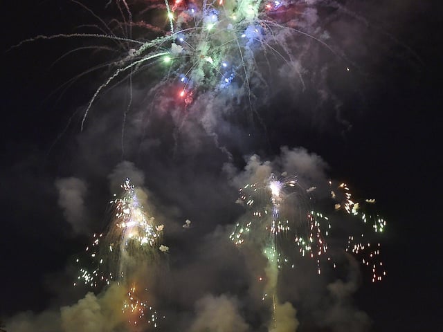 Families packed into the showground for the display