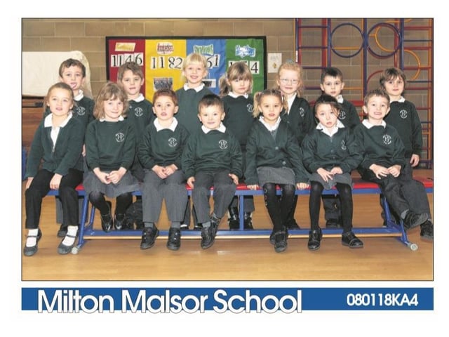 Milton Malsor School