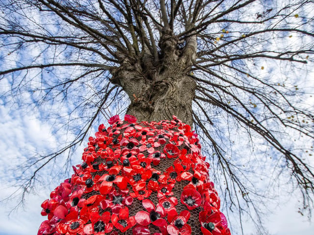 Residents have spent almost two months working on the project. Photo: Kirsty Edmonds.