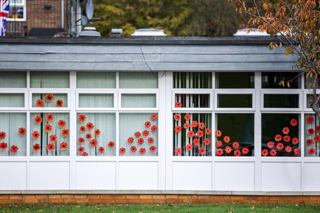 Residents are 'thrilled' by how the display has turned out. Photo: Kirsty Edmonds.