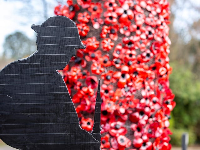 Even family members got involved in the project too. One of whom made the silhouette. Photo: Kirsty Edmonds.