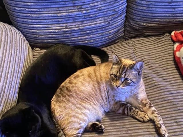 Floyd and Beatrix