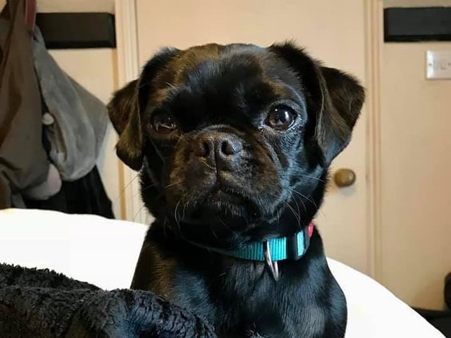 Frank