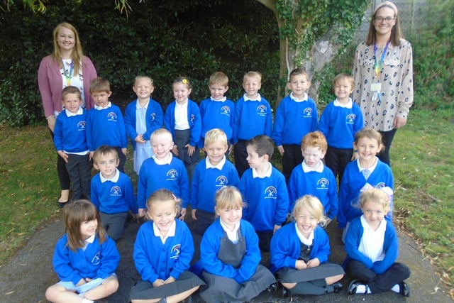 Reception class pictures 2020 at Durrington Infant School, Butterflies class. SUS-201014-121148001