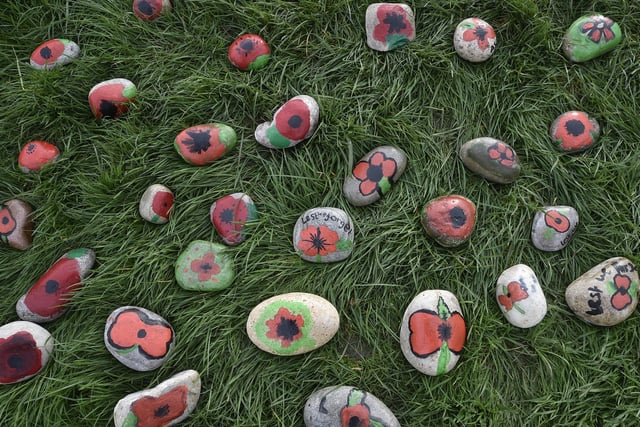 Pupils from Woodston primary school have painted and laid over 500 stones placed in the school grounds on Armistice Day. EMN-201111-131633009