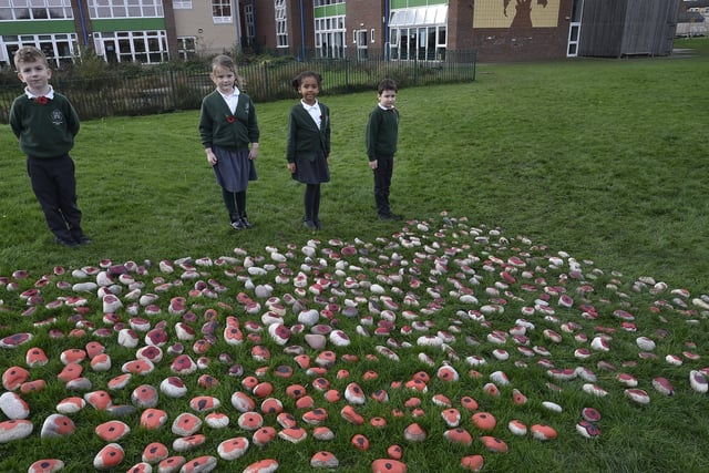 Pupils from Woodston primary school have painted and laid over 500 stones placed in the school grounds on Armistice Day. EMN-201111-131408009