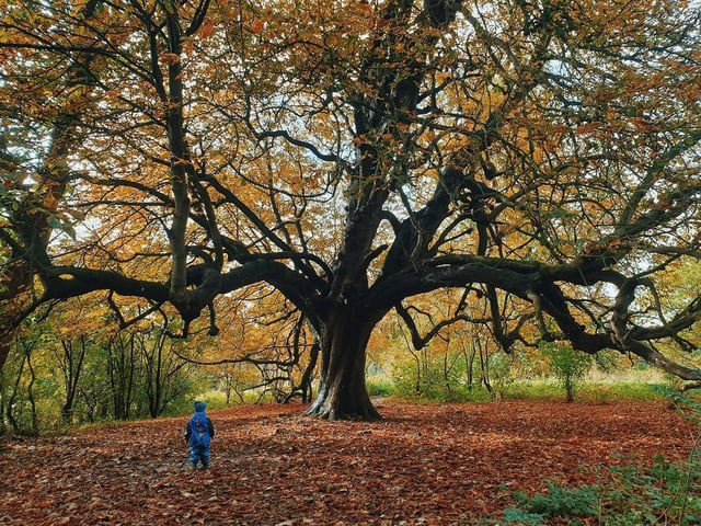 East Carlton Country Park can be found in Market Harborough.