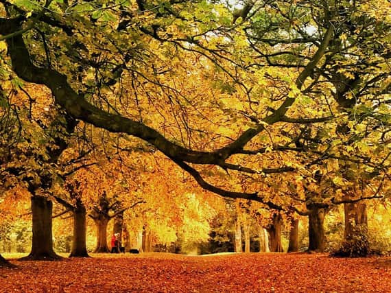 There are so many places in Northamptonshire where you can go to see a spectrum of Autumn colours.