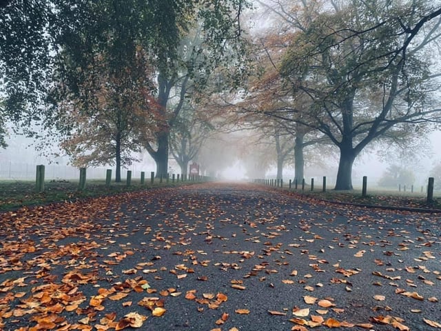 Wicksteed Park is located in the south-east of Kettering, on the western edge of Barton Seagrave village and consists of an amusement park too!
