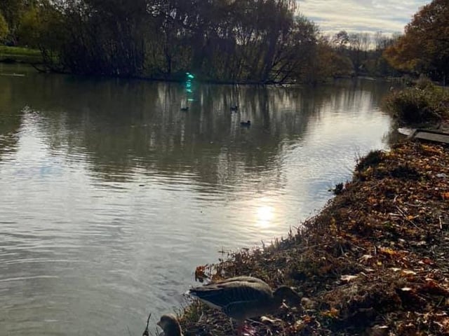 Corby Boating Lake is perfect for people who want to see a great deal of wildlife.