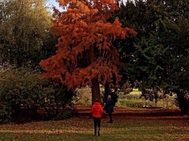 Delapre Abbey, in Northampton, has so many striking Autumnal colours.