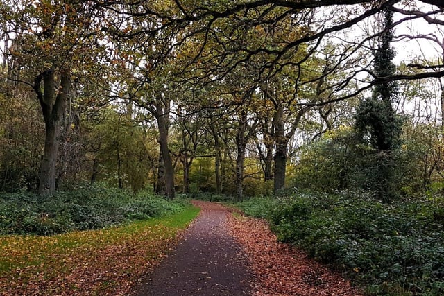 Thoroughsale Wood is an ancient woodland by Corby town centre that has walking paths and open spaces.