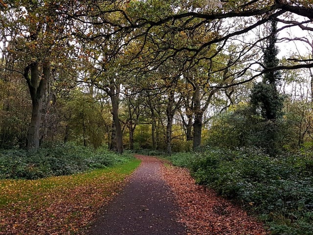 Thoroughsale Wood is an ancient woodland by Corby town centre that has walking paths and open spaces.