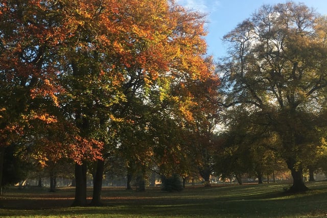 Thornton Park is located in Kingsthorpe, Northampton and is the perfect place for a brief walk.