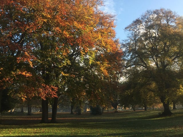 Thornton Park is located in Kingsthorpe, Northampton and is the perfect place for a brief walk.