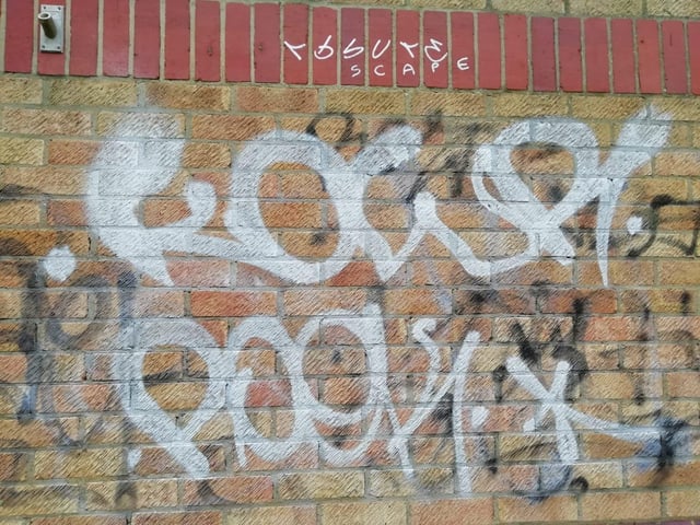 Vandalism and graffiti around Orton Mere station EMN-201116-142007009