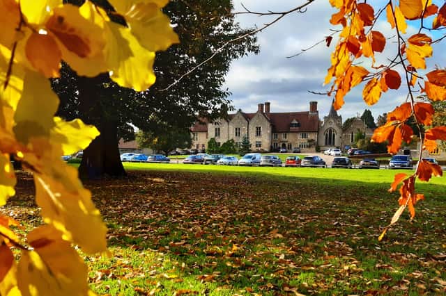 Autumnal colour at Midhurst and Petworth Park. Pic Steve Robards SR2011141 SUS-201114-125830001