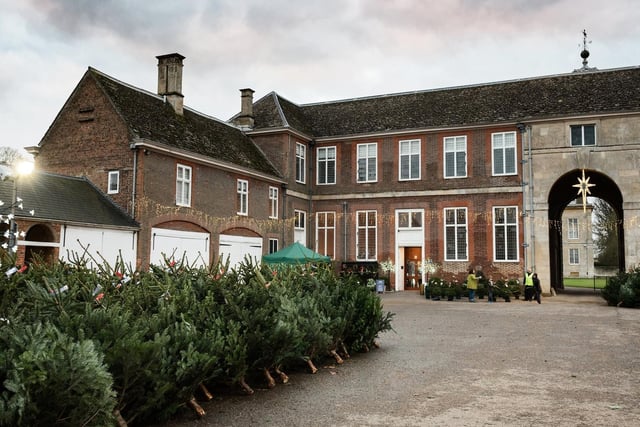 Boughton House in Kettering is hosting their annual Christmas tree sale from November 28 to December 13. They are selling a variety of Normann trees between four feet and nine feet tall as well as a selection of smaller potted trees.