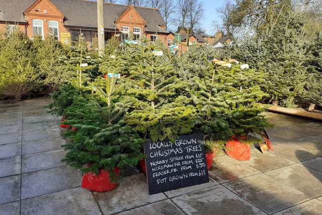 Workbridge, on Bedford Road in Northampton, opened their Christmas market on November 16 where they sell a range of Christmas trees, festive wreaths and handmade gifts.