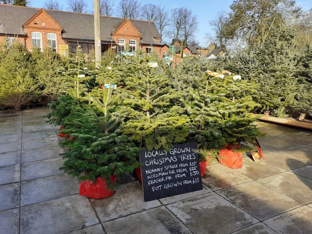 Workbridge, on Bedford Road in Northampton, opened their Christmas market on November 16 where they sell a range of Christmas trees, festive wreaths and handmade gifts.