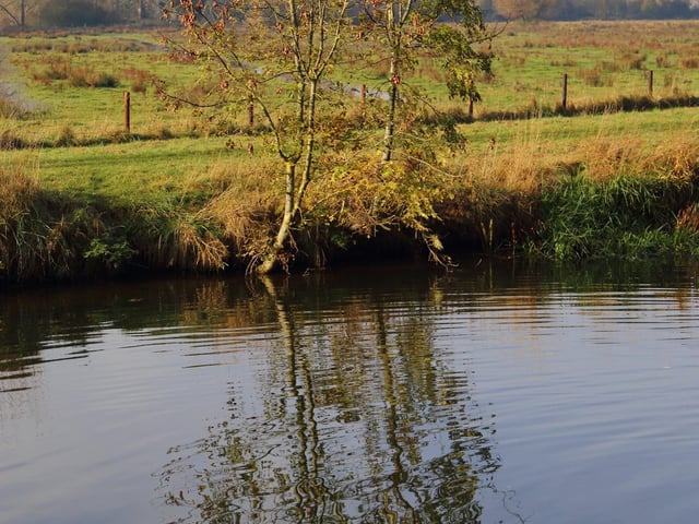 Sean Hale - near Milton Ferry bridge in Ferry Meadows