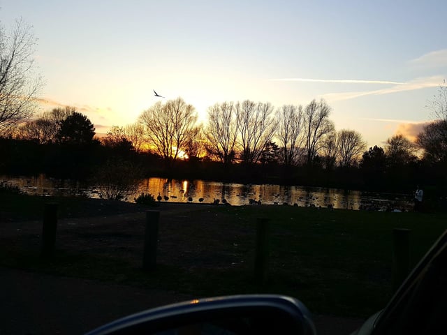 Anita Neath at Orton Mere