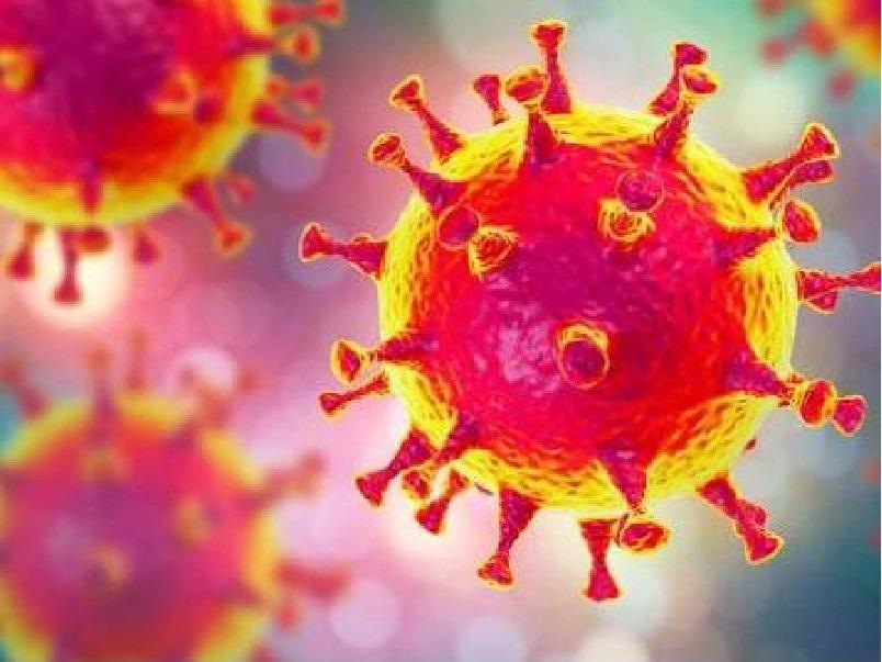 Coronavirus     (stock image)