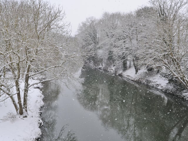 There has been no heavy snowfall in Peterborough this year (all pics taken before social distancing rules)