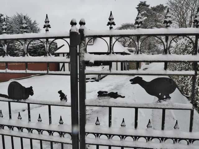 There has been no heavy snowfall in Peterborough this year (all pics taken before social distancing rules)
