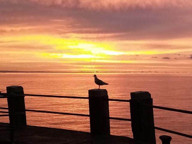 Sarah Croft took this picture at sunrise on Worthing Pier
