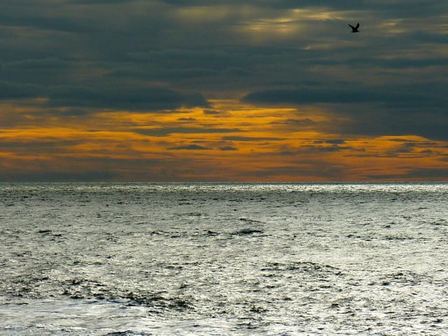 Mandy Turner took this picture at Seaford beach