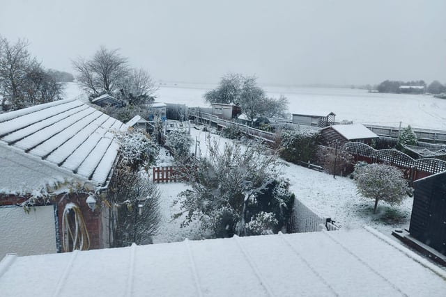 Snow in Silk Willoughby, by Julie Johnson.